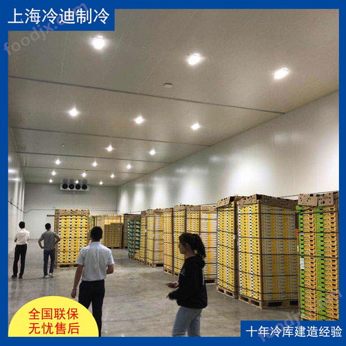 食品厂大型冷库的安装造价、设计与软件开发全解析