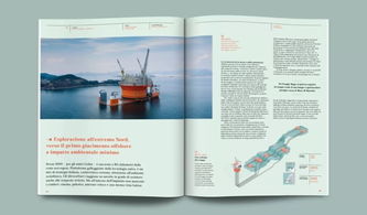 版式设计与软件开发 探索杂志设计中的图文编排艺术与技术实现